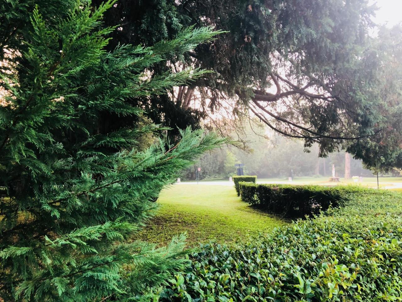 Hotel Villa Marcello Giustinian Mogliano Veneto Zewnętrze zdjęcie